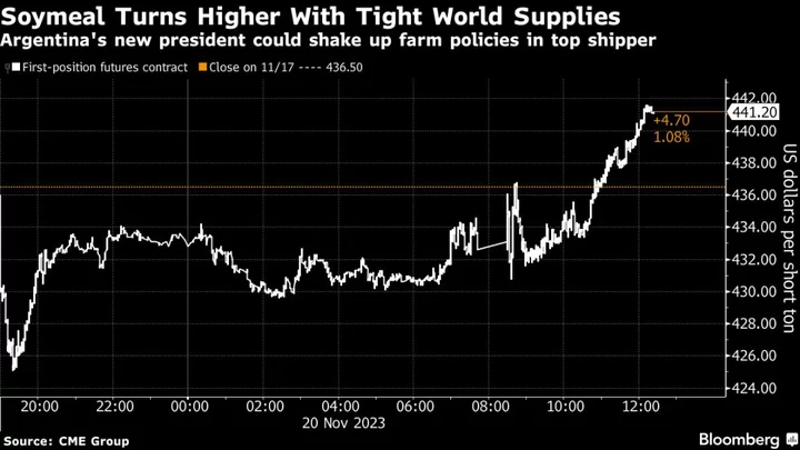 Argentine Election Gives Soymeal Traders a New Factor to Weigh
