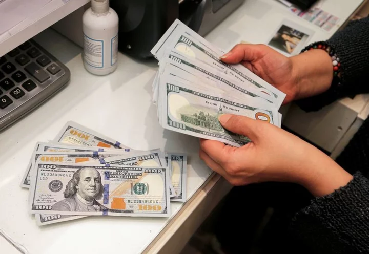 Dollar to stay bright this year before fading in 2024 -analysts: Reuters poll