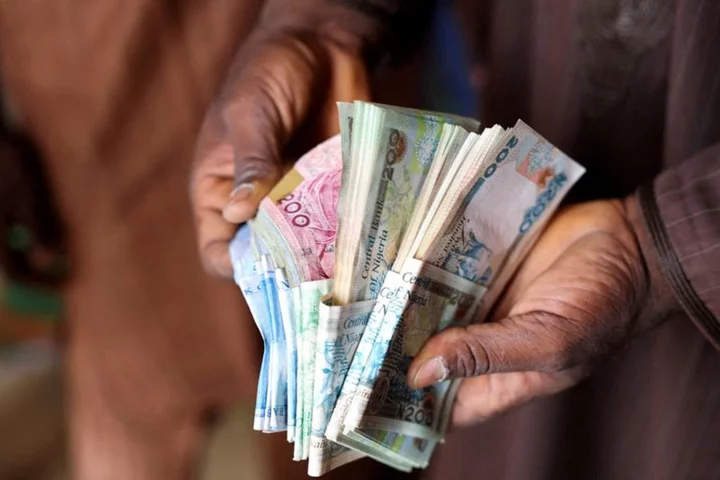 Explainer-What is pushing the Nigerian naira to record lows?