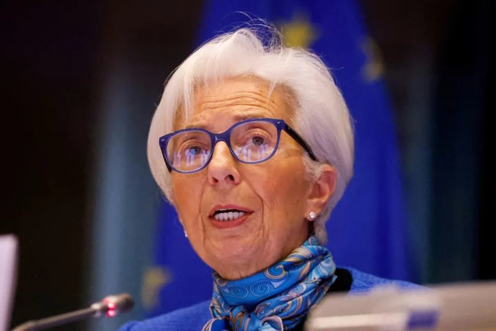 ECB's Lagarde warns against premature inflation celebration