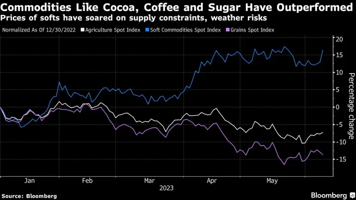 Cost of Your Caffeine and Sugar Fix to Stay High on El Niño
