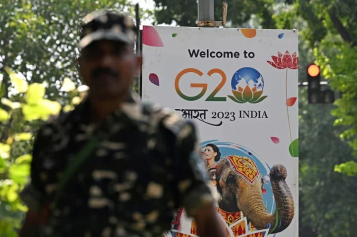 G20: India's New Delhi readies for global summit
