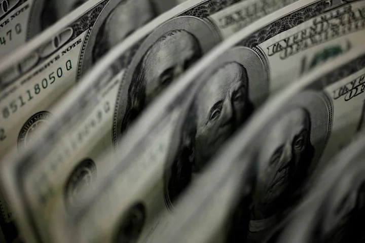 S&P Global's top economist sees dollar dominance diminishing