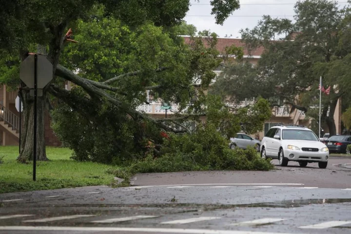 US airlines cancel over 1,000 flights as Hurricane Idalia makes Florida landfall