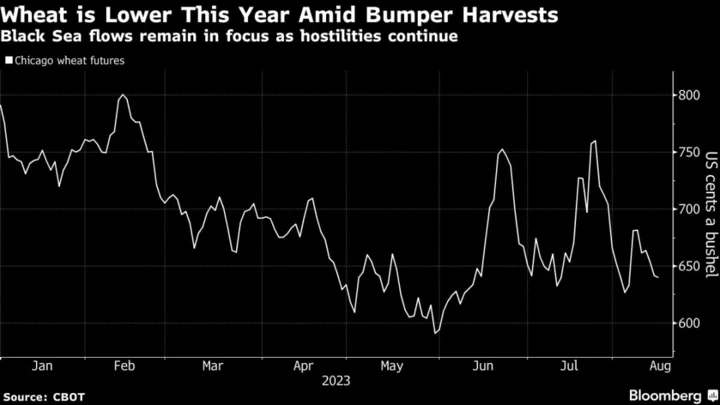 Wheat Holds Loss as Black Sea Exports Continue Amid Hostilities