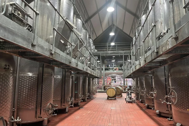 South Africa's Power Blackouts Are Crippling Its 300-Year-Old Wine Industry