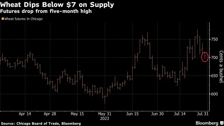 Wheat Extends Loss From Five-Month High as Supply Outlook Weighs