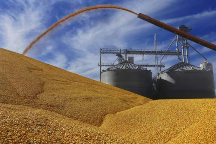 Bunge to buy Viterra in $18 billion deal that would create an agricultural powerhouse