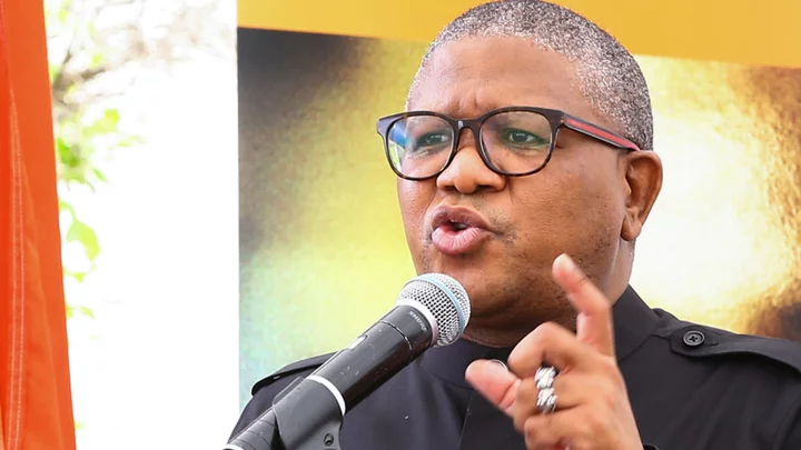South Africa could become failed state, says ANC's Fikile Mbalula