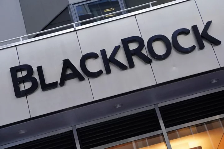 BlackRock trims government bonds underweight, more cautious on credit